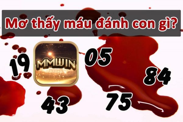 nằm mơ thấy máu đánh con gì Mmwin